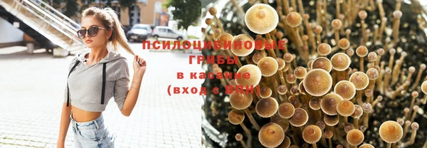 а пвп мука Осинники